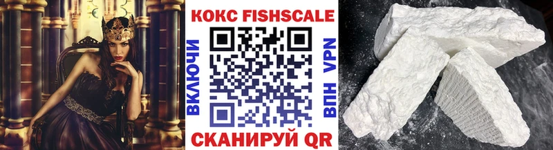 Кокаин Fish Scale  omg ONION  Кинель 