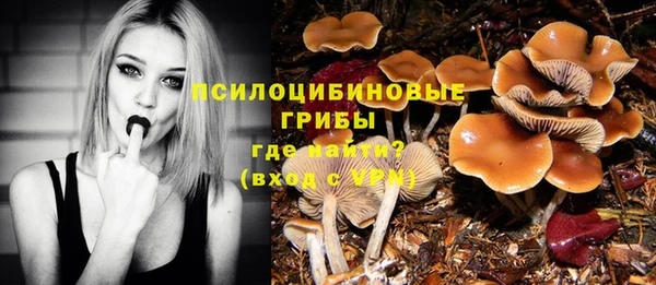 стаф Осташков