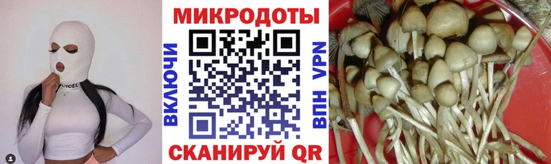 Псилоцибиновые грибы мицелий  Кинель 